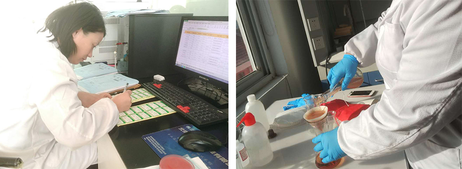 上海環(huán)境檢測(cè)咨詢服務(wù)有限公司 上海環(huán)境檢測(cè)咨詢服務(wù)有限公司