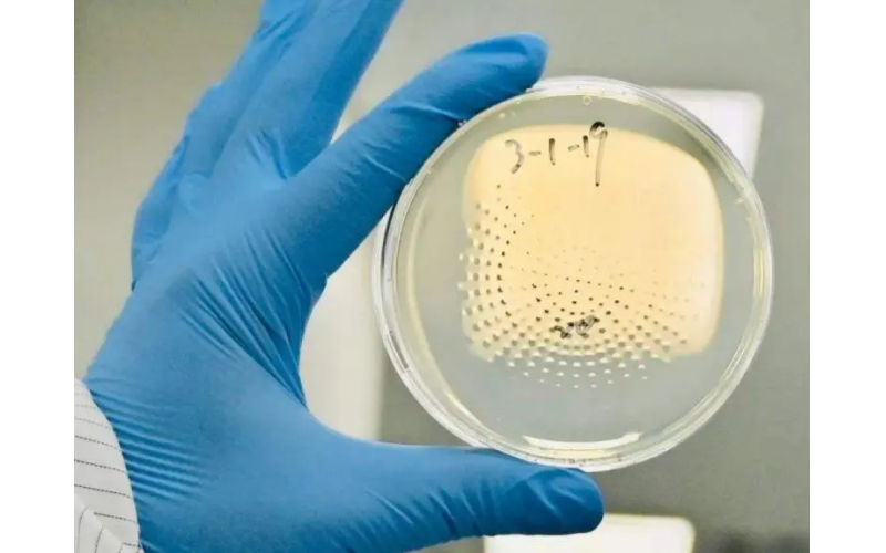 潔凈室表面微生物測(cè)試